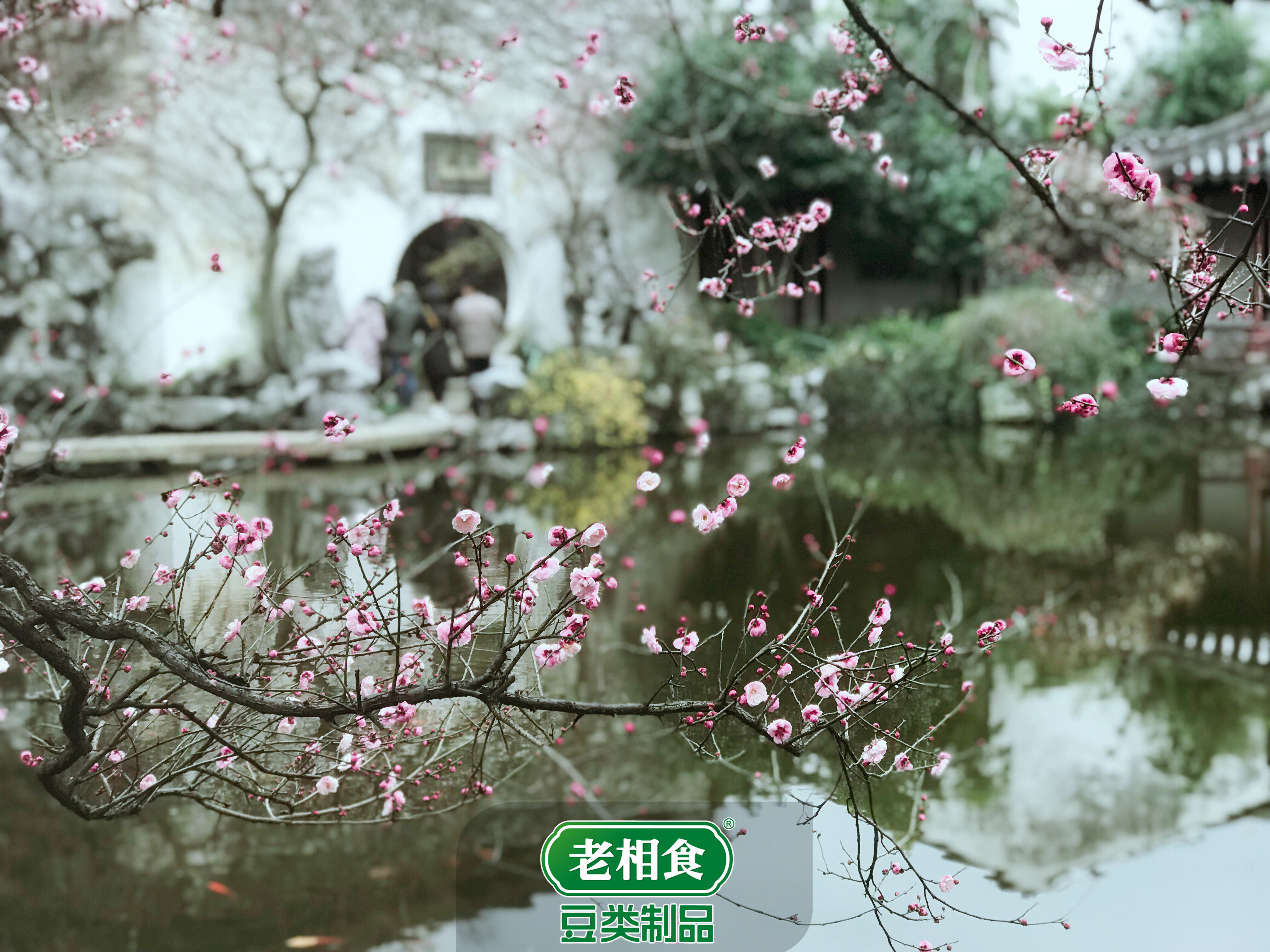 老相食我为家乡代言