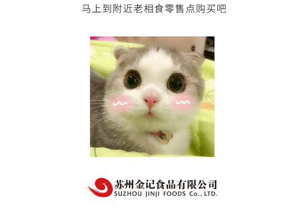 荠菜百叶包_08.jpg